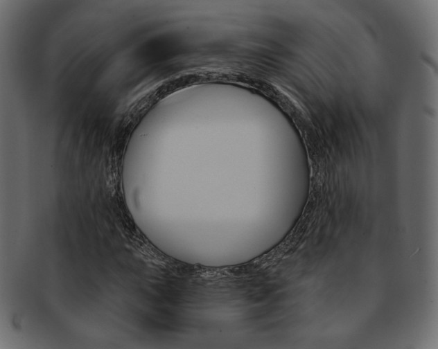 X0000093171015200709261051