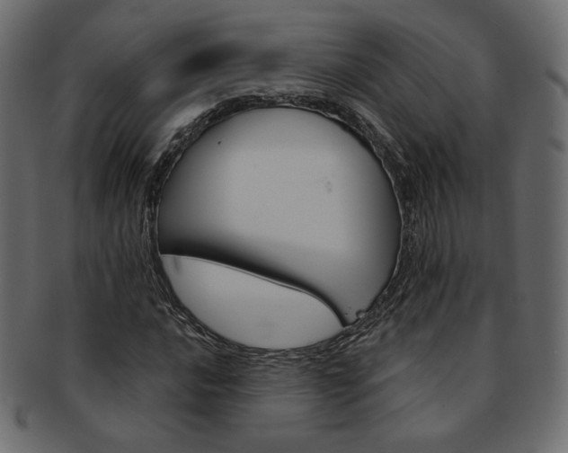 X0000093171016200709261051