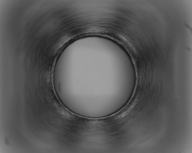 X0000093171017200709261051