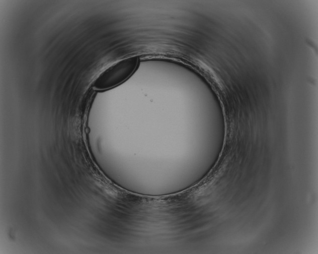 X0000093171019200709261051