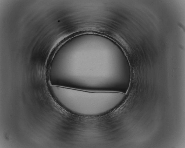 X0000093171020200709261051