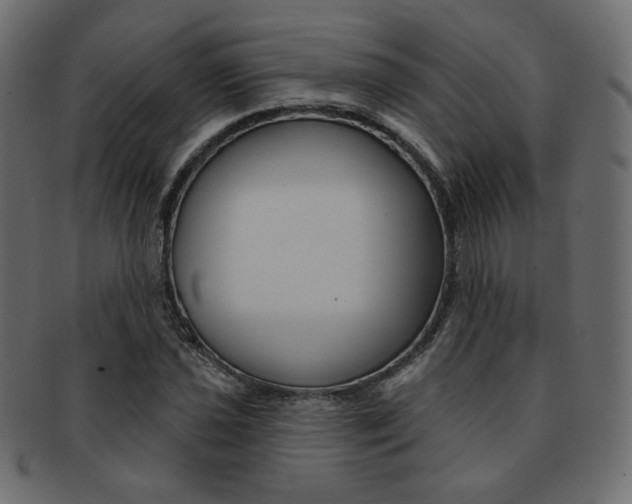 X0000093171021200709261051