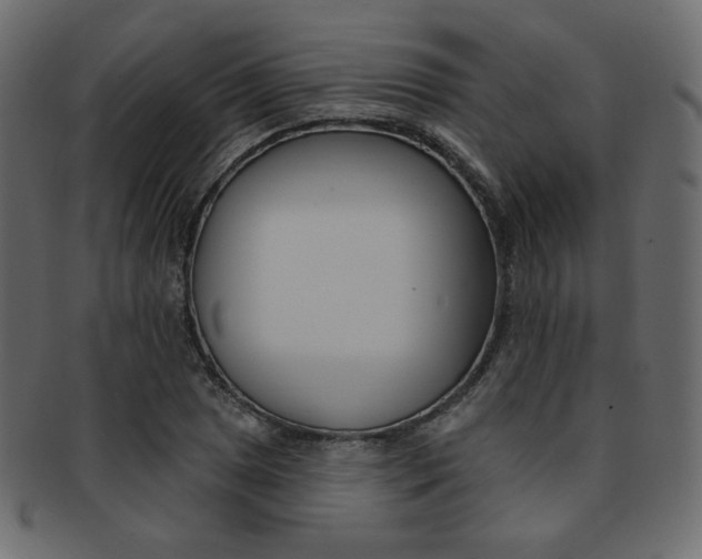 X0000093171025200709261051