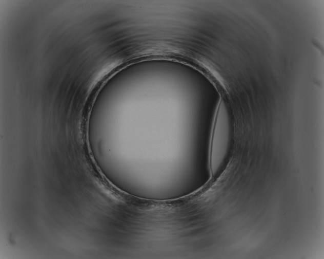 X0000093171026200709261051