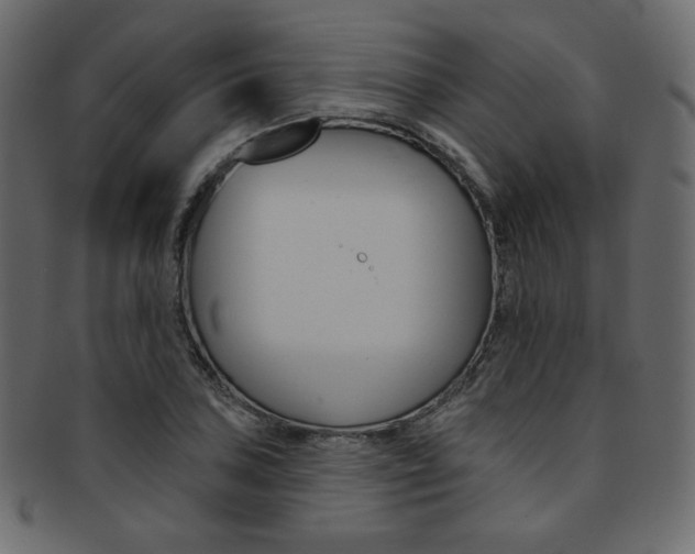 X0000093171027200709261051
