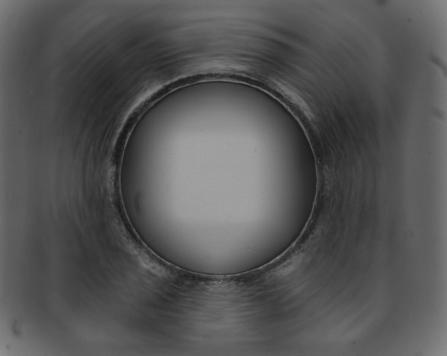 X0000093171029200709261051