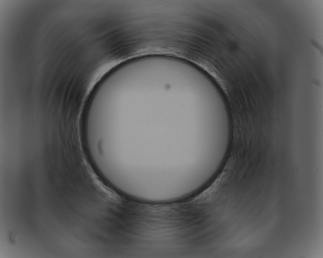 X0000093171030200709261051