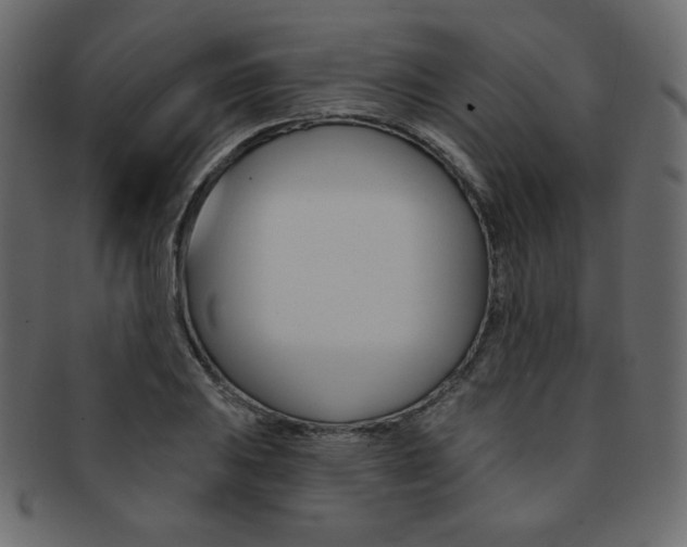 X0000093171031200709261051