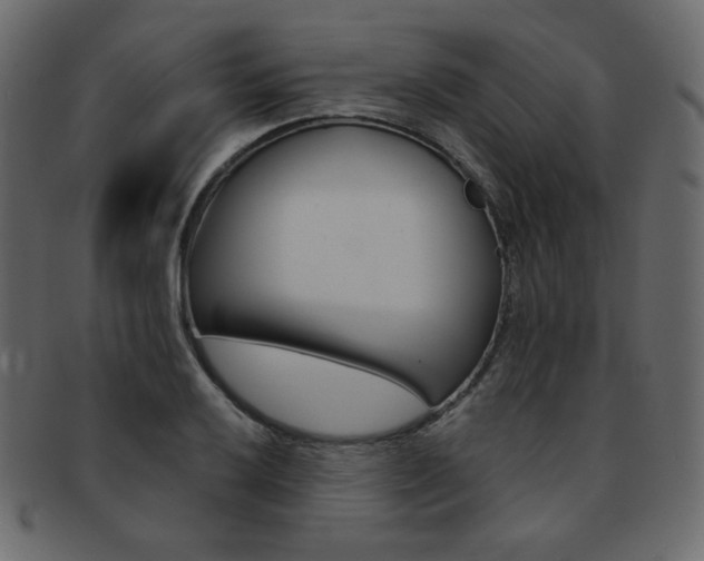 X0000093171032200709261051