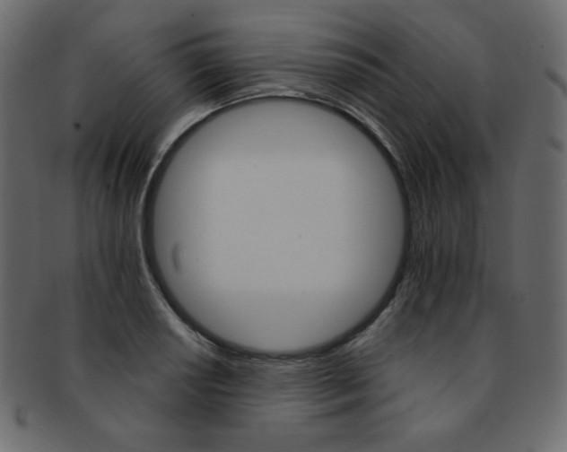 X0000093171034200709261051