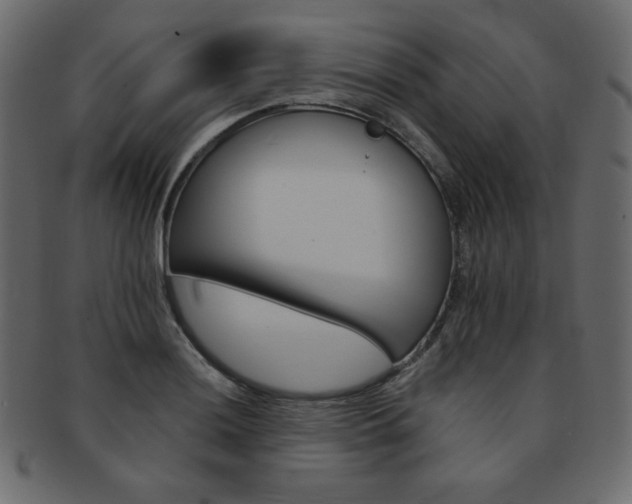 X0000093171036200709261051