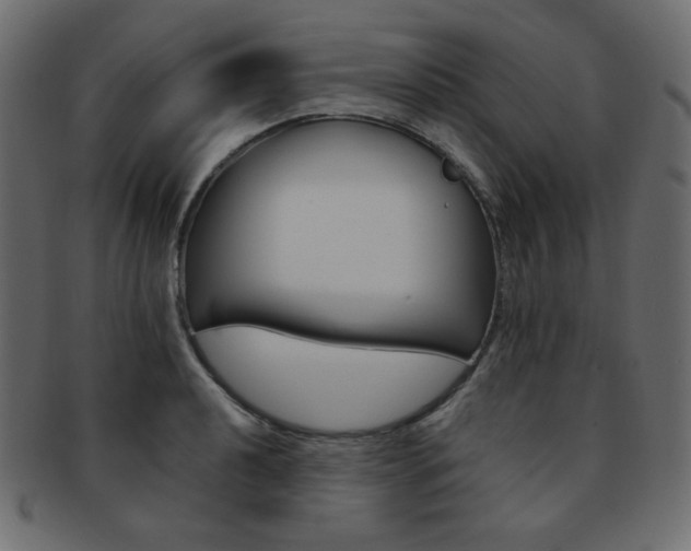 X0000093171040200709261051