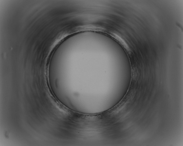 X0000093171043200709261051