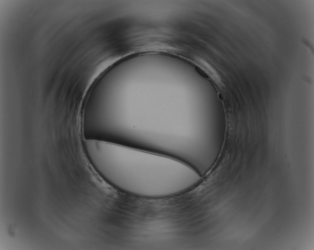 X0000093171044200709261051