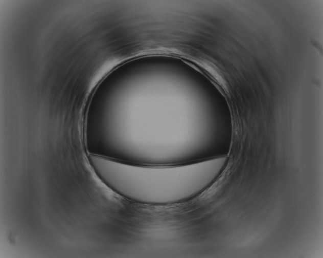 X0000093171054200709261052