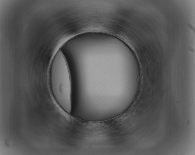 X0000093171056200709261052