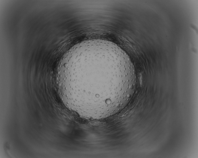 X0000093171059200709261051