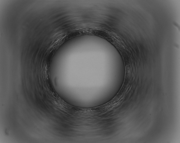 X0000093171060200709261051