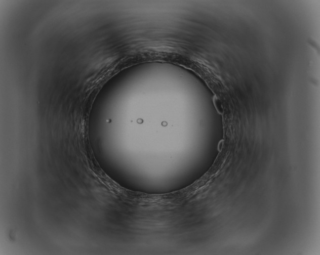 X0000093171061200709261051