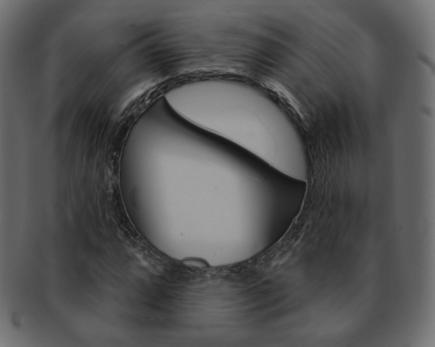X0000093171064200709261051