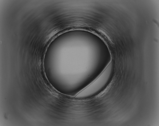 X0000093171065200709261051