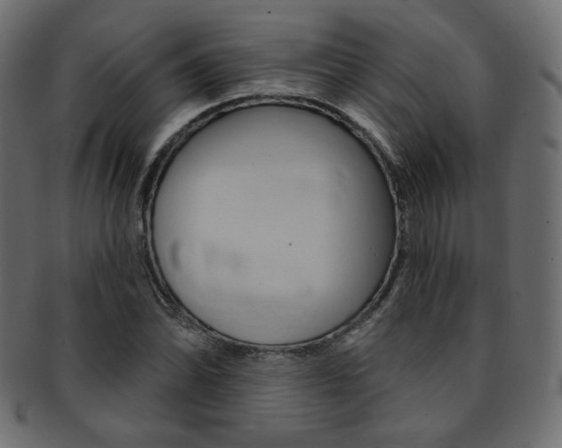 X0000093171070200709261051