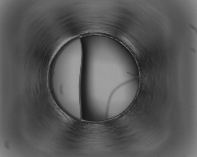 X0000093171076200709261051