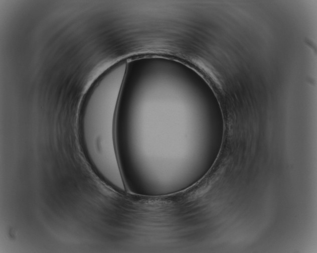 X0000093171077200709261051