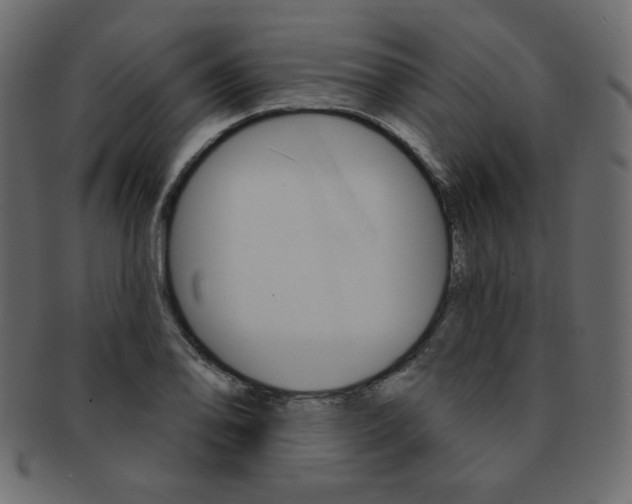 X0000093171078200709261051