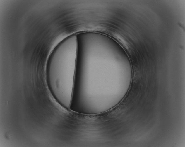 X0000093171080200709261051