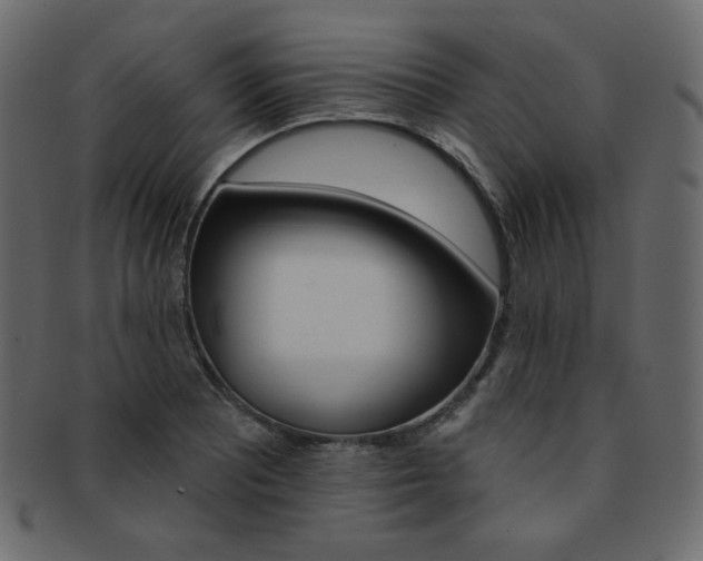 X0000093171081200709261051