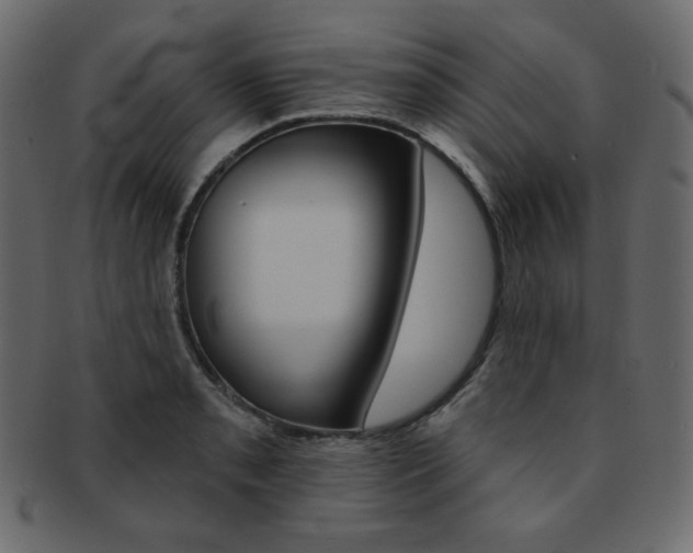 X0000093171085200709261051