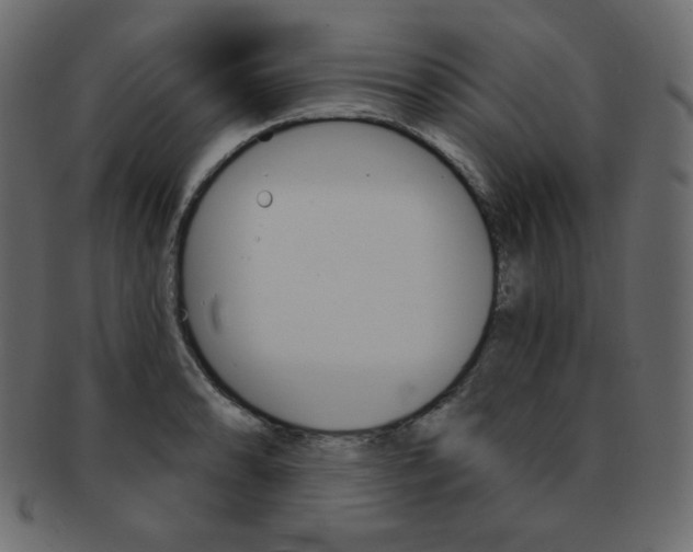 X0000093171086200709261051