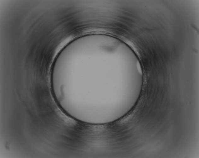 X0000093171090200709261051
