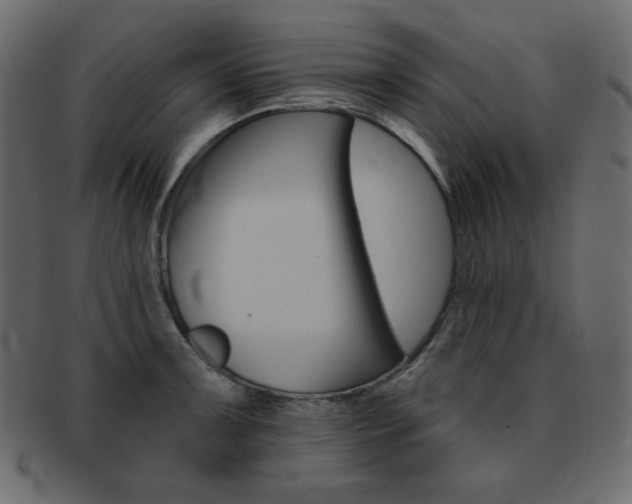 X0000093171091200709261051