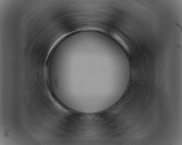X0000093171092200709261051