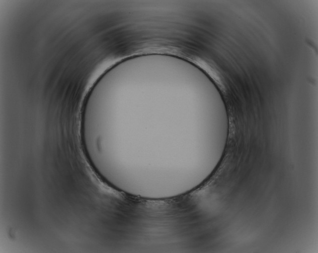 X0000093171094200709261051