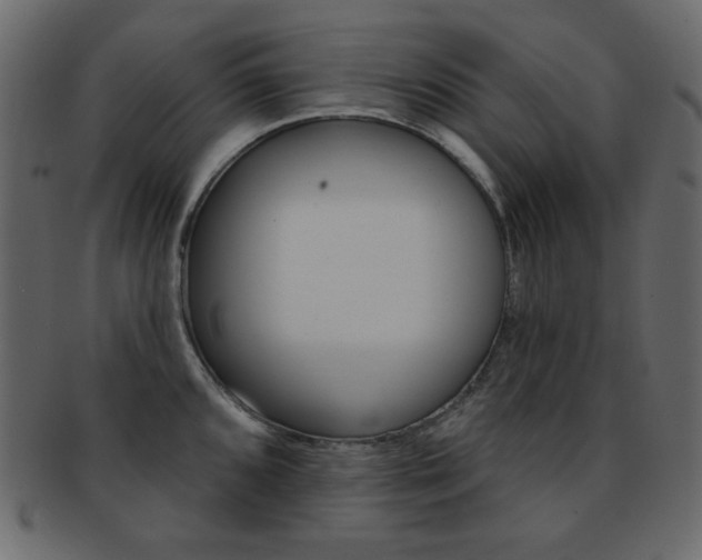 X0000093171096200709261051