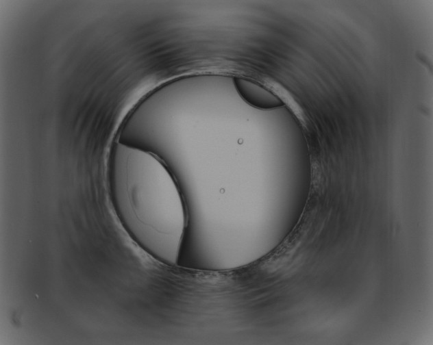 X0000093171099200709261051