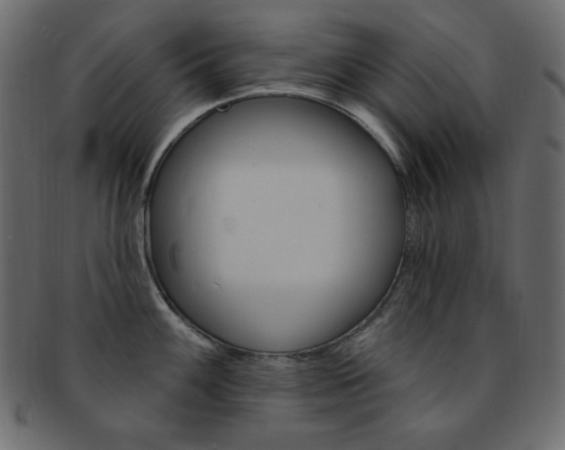 X0000093171100200709261051