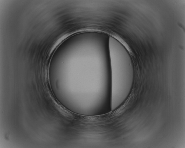 X0000093171101200709261051