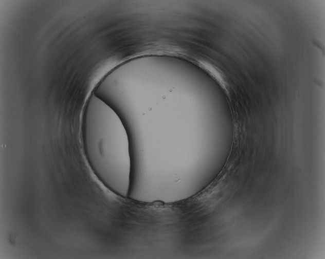 X0000093171103200709261051