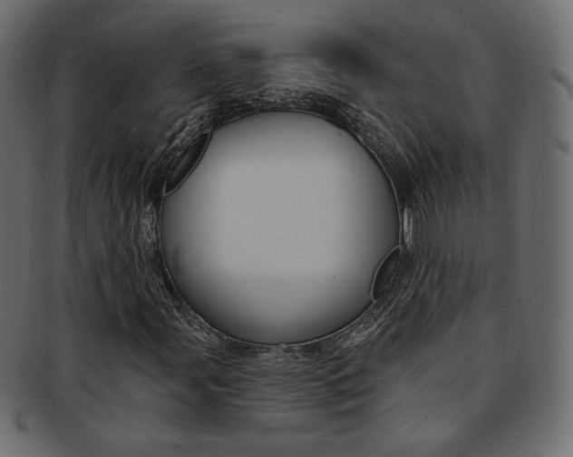 X0000093171107200709261050