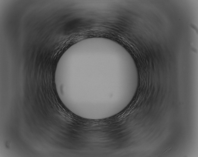 X0000093171108200709261050