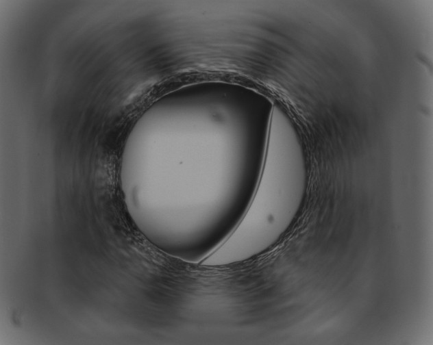 X0000093171110200709261050