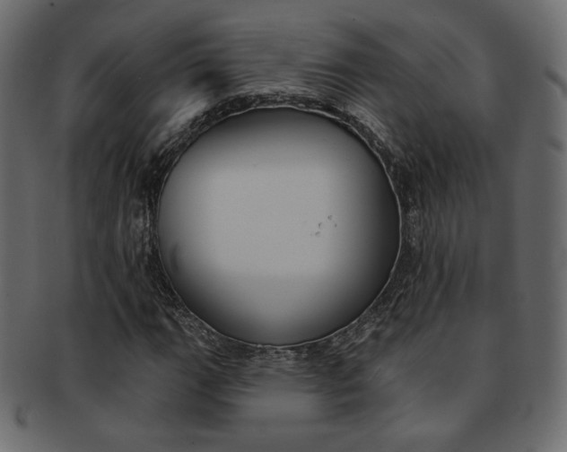 X0000093171111200709261050
