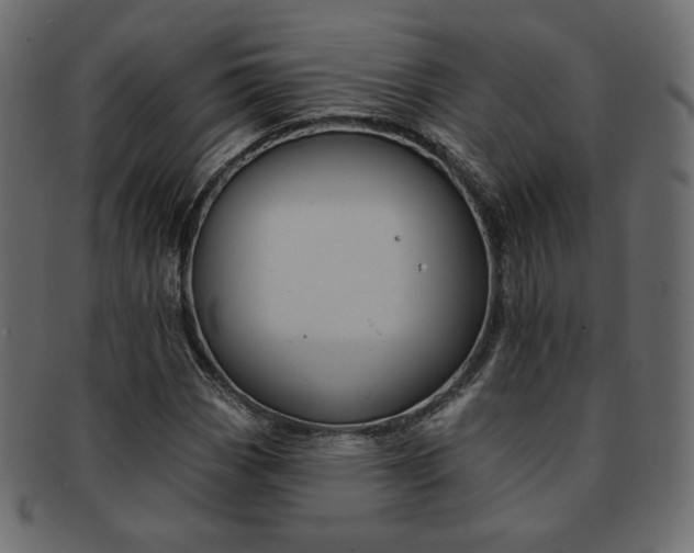 X0000093171113200709261050
