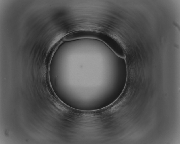 X0000093171114200709261050