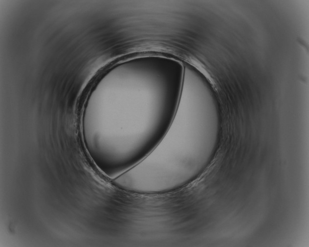 X0000093171116200709261050