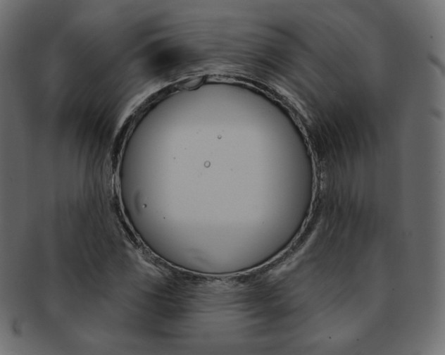 X0000093171117200709261050